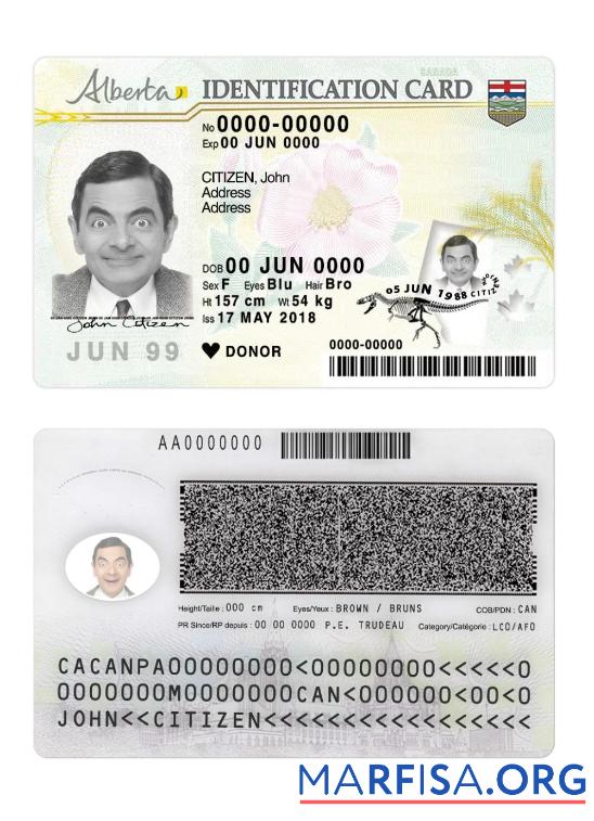 Downloadable Canada Alberta ID Card real example